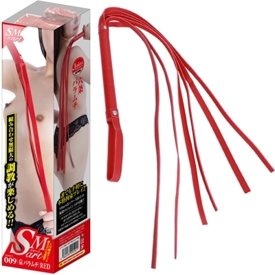 �r�l�������i�X�}�[�g�j�@�X�@��