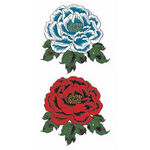 �^�g�D�[�V�[���@�ԉ��O�E���O(�^�g�D�[�E�h�V�[��)