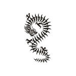 �^�g�D�[�V�[���@�g���C�o���E�h���S��(�^�g�D�[�E�h�V�[��)