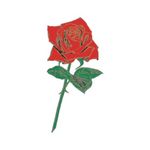 �^�g�D�[�V�[���@�K�N���(�^�g�D�[�E�h�V�[��)
