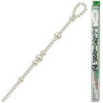 �A�i���p�[���r�o�@�i�T�j(�A�i��)