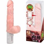 �k������_�i����ہj�@��(�o�C�u�i�d���������j)