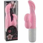 �����������o�C�u(�o�C�u�i�d���������j)