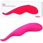 ���k�d�u�d�s�s���j�������i�L�����[�j(�o�C�u�i�d���������j)