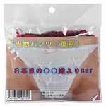 �����n�p���c�@�i�����j(����A�C�e��)