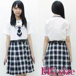 �L���X�g�n�������q�Z�@�Đ����@�a�h�f(�R�X�v���ߑ�)