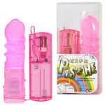 �o�h�r�b�g�d�i�s�X�`�F�j�P�@�s���N(�o�C�u�i�d���������j)