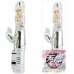 �V��(�o�C�u�i�d���������j)