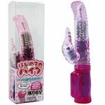 ���O���@�͂��߂Ẵo�C�u�@�i�s���N�j(�o�C�u�i�d���������j)