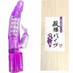 �a�l�o�C�u�@�i�����@���j(�o�C�u�i�d���������j)