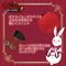 �����t���C���@�i���T�V�C�A�V�J�Z�@���g�j